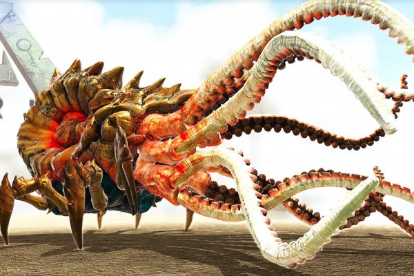 Kraken зеркало тор