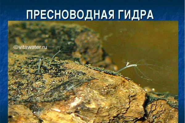 Kraken дарк магазин